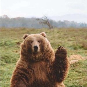 Meet your Posher, Zakaria